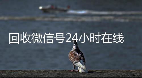 回收微信号24小24小时收vx秒结时在线秒结（回收微信号网站）